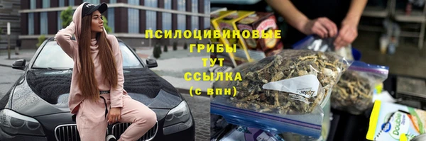 эйфоретик Абаза