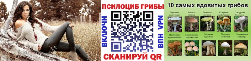 Псилоцибиновые грибы прущие грибы  где купить   Стерлитамак 